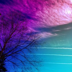 Low angle view of bare trees against blue sky