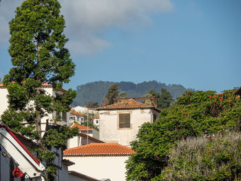 Houses and trees and buildings against sky