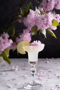 Spring still life with a glass of cold margarita with lime, pink sakura flowers