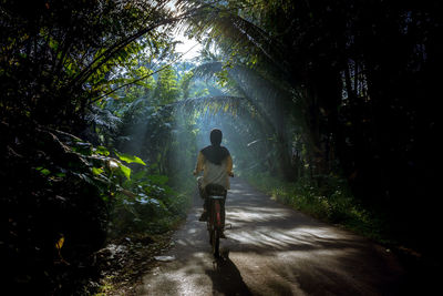 Rear view of man standing on road in forest