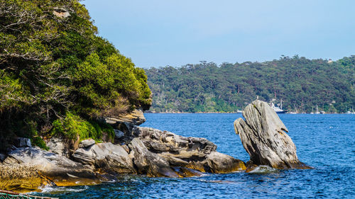 Scenic view of sea and trees against clear sky