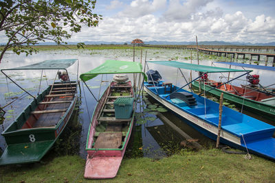 Boats moored at harbor