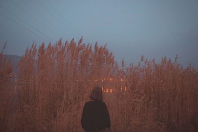 Rear view of woman standing amidst plants against sky