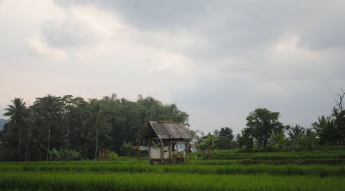 Built structure on field by trees against sky