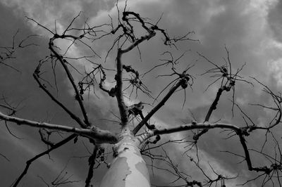 Low angle view of bare tree against sky