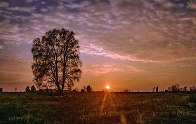 Scenic view of field against sky during sunset