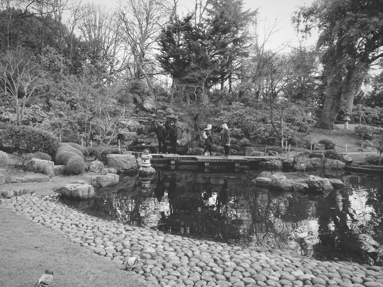 SCENIC VIEW OF PARK BY LAKE