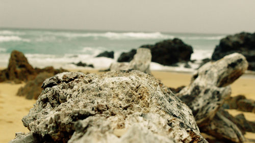 Close-up of rocks on beach against sky