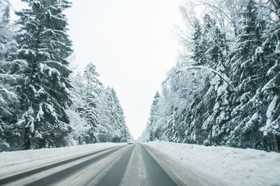 Road amidst trees against sky