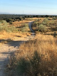 View of dirt road at landscape against sky