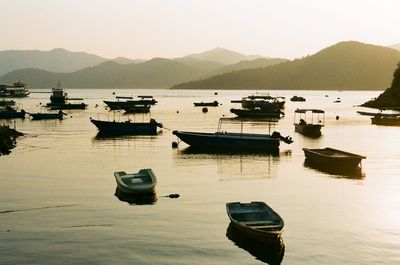 Boats in marina at harbor