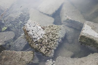 Close-up of rocks on shore