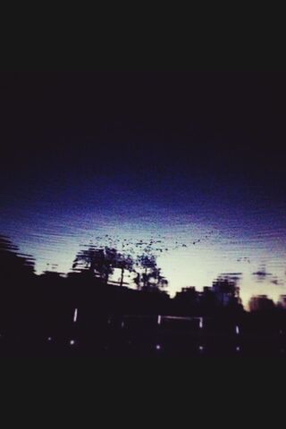 SILHOUETTE TREES AGAINST SKY AT DUSK