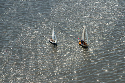 High angle view of people in sea