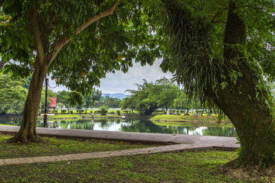 Scenic view of park by lake