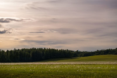 Scenic view of field against sky