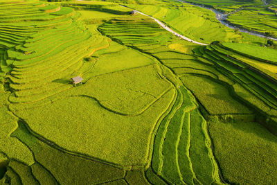 Full frame shot of terraced field