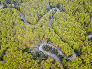 Aerial view of asphalt road winding through green springtime forest