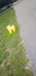 High angle view of yellow grass