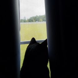 Close-up of man looking through window