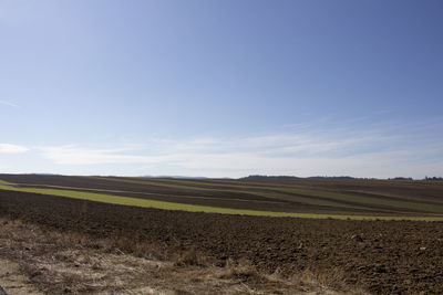 Scenic view of field against blue sky