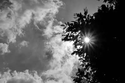 Low angle view of silhouette trees against sky