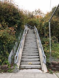 Staircase leading to trees against sky