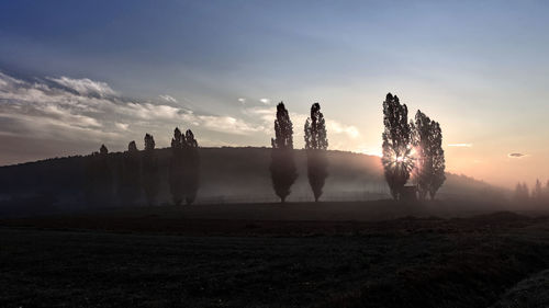 Silhouette trees on field against sky during sunset