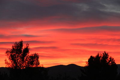 Silhouette trees against dramatic sky during sunset