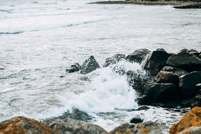 Scenic view of sea shore