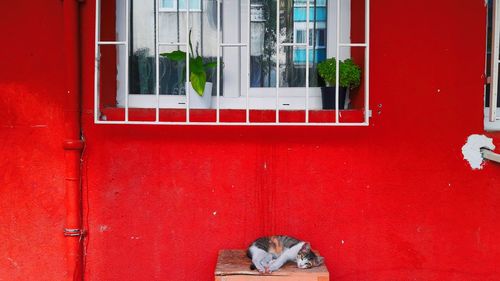 Reflection of building on glass window