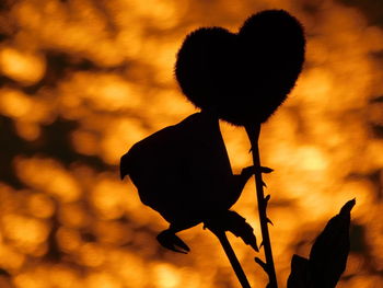 Close-up of silhouette flower against sunset