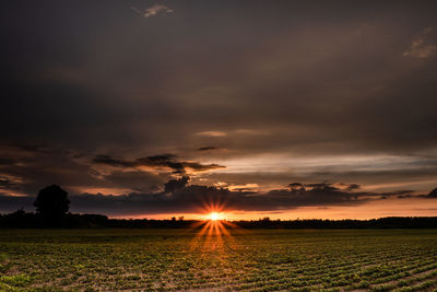 Scenic view of field against sky during sunset