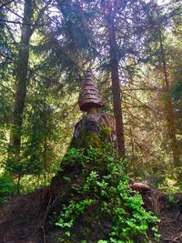 Low angle view of trees in forest