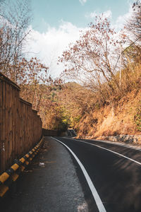 Empty road along plants and trees against sky