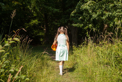 Rear view of girl walking on trail in forest