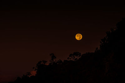 Low angle view of moon in sky at night