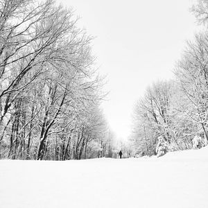Scenic view of snow covered landscape