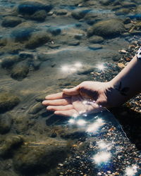 High angle view of hand on rock in sea