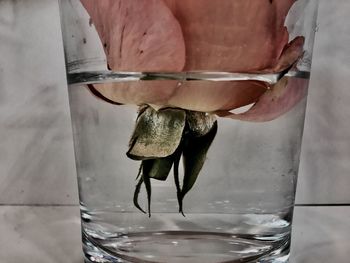 Close-up of man with umbrella in water