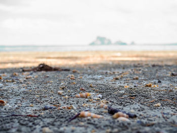 Surface level of beach against sky