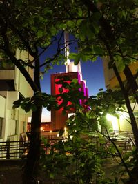 Low angle view of flowering trees by building