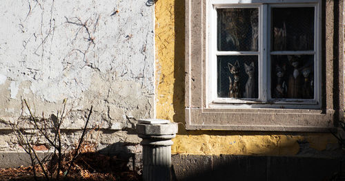 Old window of a fortune teller.