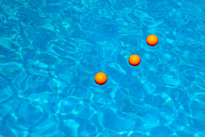 High angle view of orange balls in swimming pool