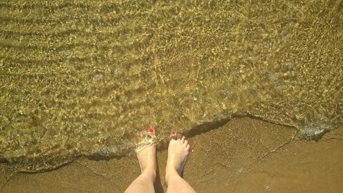 Low section of woman at beach