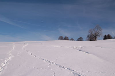 Scenic view of snow covered land against blue sky