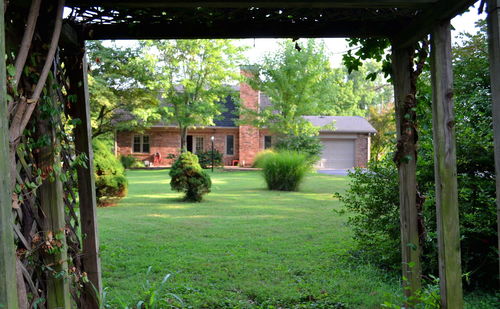 House and trees in park