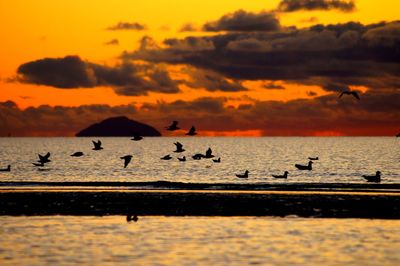 Scenic view of sea against orange sky