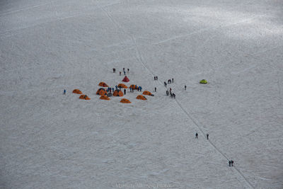 High angle view of people enjoying on land