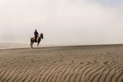 People riding horse on beach